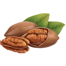 피칸