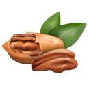 피칸