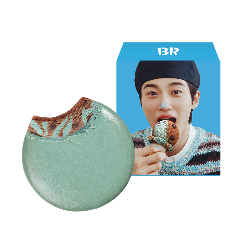 우석이도 외계인 마카롱