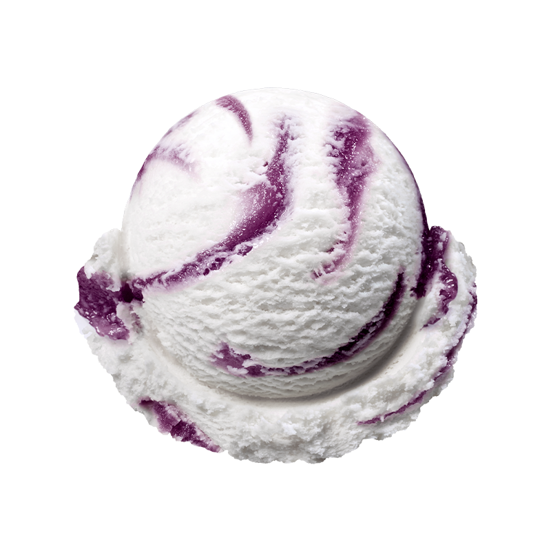 블루베리 요거트