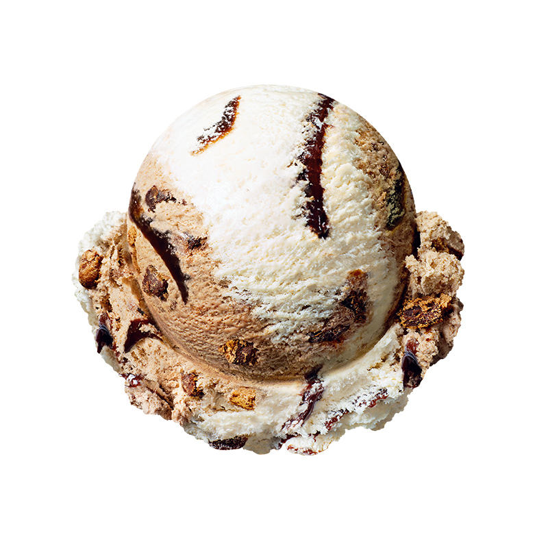 아이스 촉촉한 초코칩